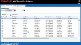 Oracle ADF Faces screenshot