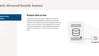 Oracle Advanced Security screenshot