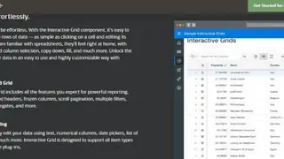 Oracle Apex screenshot