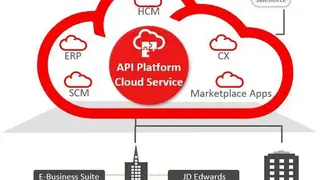Oracle API Platform screenshot