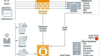 Oracle Audit Vault and Database Firewall screenshot