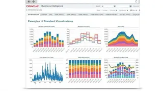 Oracle BI screenshot