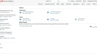 Oracle BI screenshot