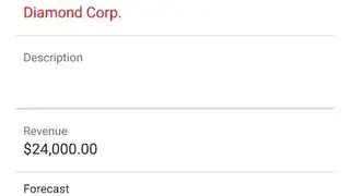 Oracle CRM screenshot