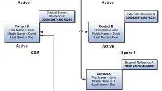 Oracle Customer Data Management Cloud screenshot