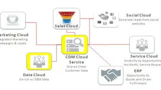 Oracle Customer Data Management Cloud screenshot