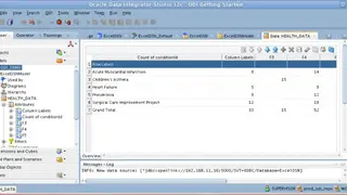 Oracle Data Integrator screenshot
