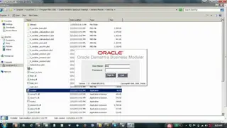 Oracle Demantra screenshot