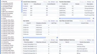 Oracle FLEXCUBE screenshot