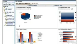 Oracle Hyperion screenshot