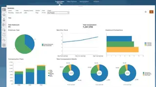 Oracle Hyperion Planning screenshot