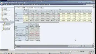 Oracle Hyperion Planning screenshot
