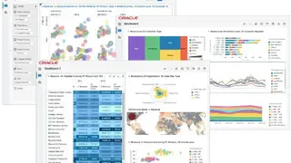 Oracle OBIEE screenshot
