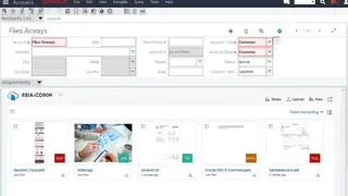 Oracle Siebel CRM screenshot