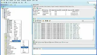 Oracle SQL Developer screenshot