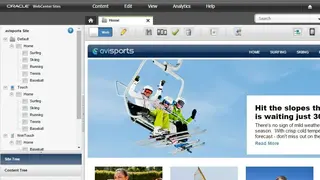 Oracle WebCenter Sites screenshot