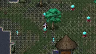 Orake Classic screenshot