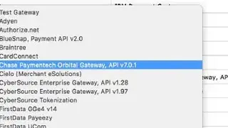 Orbital Payment Gateway screenshot