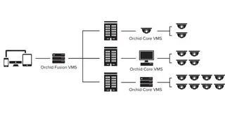 Orchid Fusion VMS screenshot