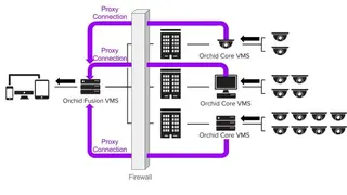 Orchid Fusion VMS screenshot