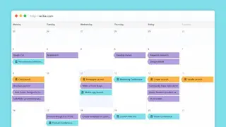 OrgBusiness Gantt Chart screenshot