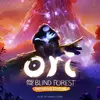 Ori and the Blind Forest: Definitive Edition