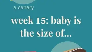 Ovia Pregnancy Tracker screenshot