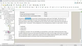 Oxygen XML Editor screenshot