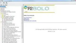 P2 BOLO screenshot