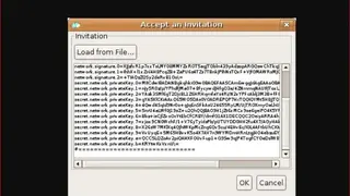 P2PVPN screenshot