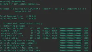 Pacaur screenshot