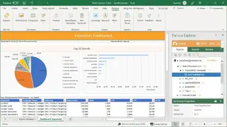 Pacvue screenshot
