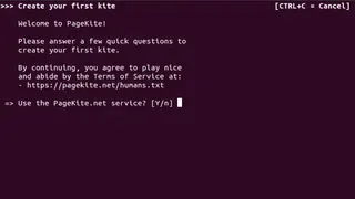 PageKite screenshot