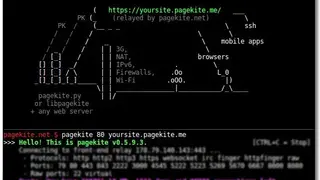PageKite screenshot