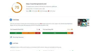 PageSpeed Insights screenshot