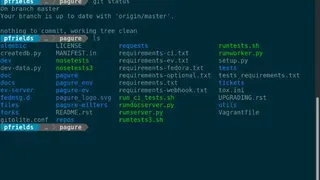 Pagure screenshot