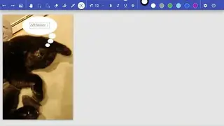 PaintZ screenshot