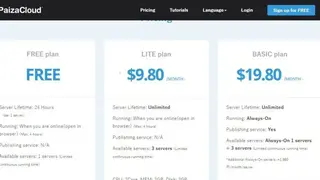 PaizaCloud IDE screenshot