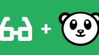 Panda Focus Mode screenshot