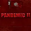 Pandemic 2