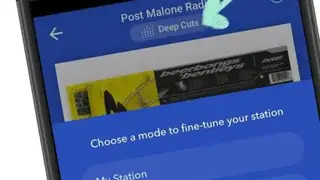 Pandora Music screenshot