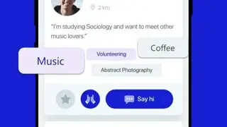 Panion screenshot