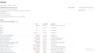 Pantheon Terminal screenshot