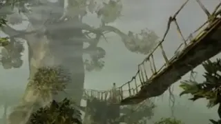 Paradise screenshot