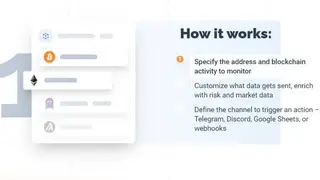 PARSIQ screenshot