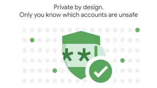 Password Checkup screenshot