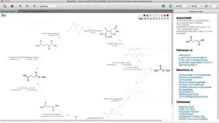 Pathomx screenshot