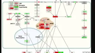 PathVisio screenshot