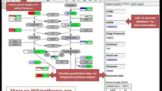 PathVisio screenshot