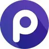 Patook